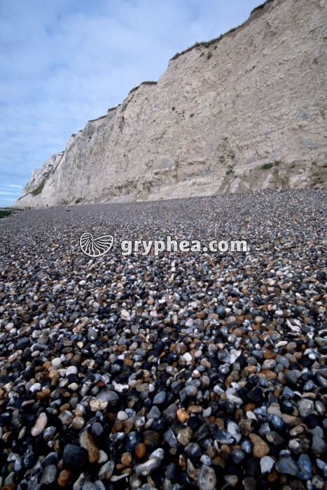 Galets de silex au pied de la falaise de craie du Cap Blanc-Nez (Pas-de-Calais) - gryphea.org